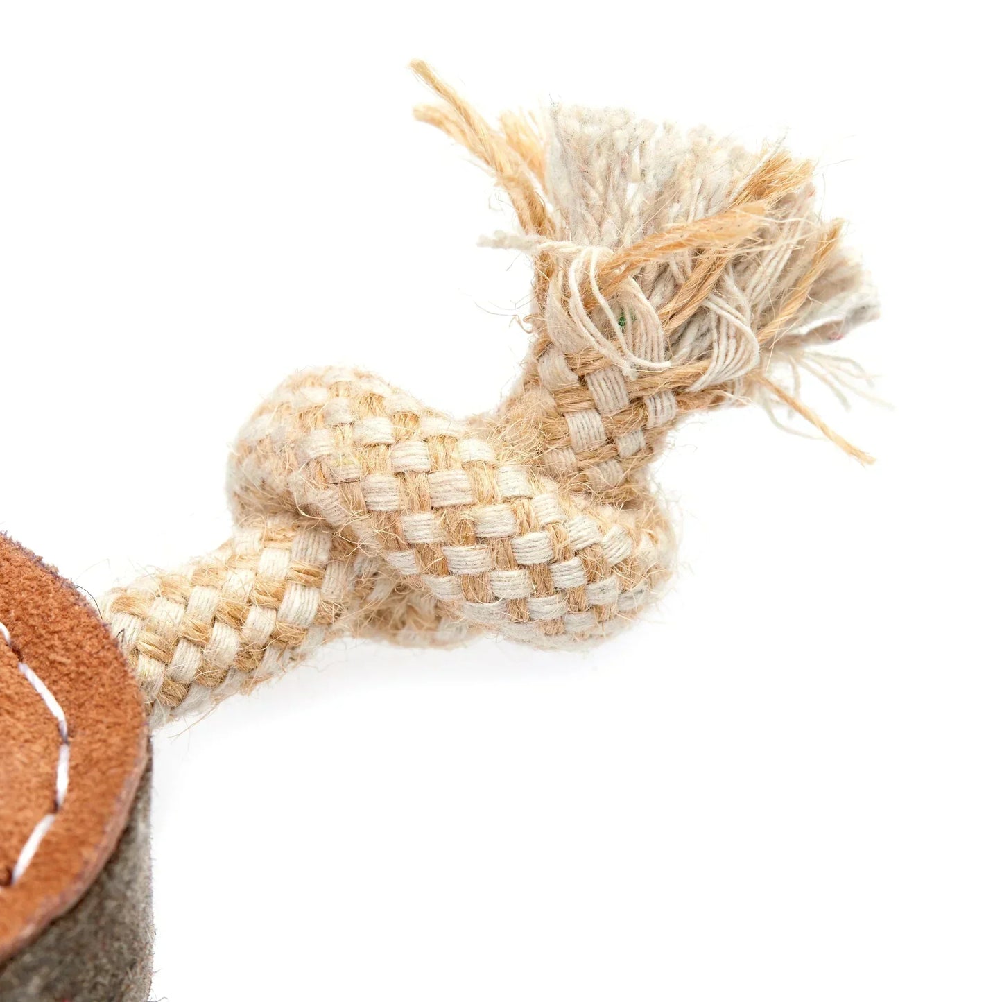 Benny the Boomerang Eco Dog Toy